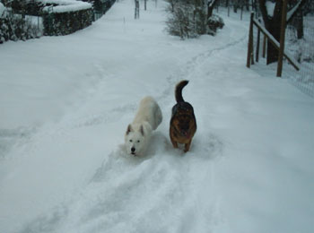 giro_lucky_schnee3.JPG